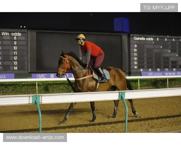 澳门赛马年度比赛日期全公开，详细介绍每场赛事的时间安排与购票指南